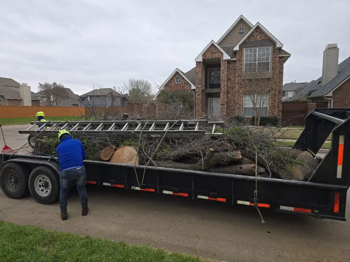 Expert Tree Removal with proper safety equipment in Tilton